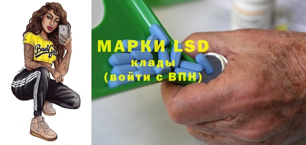 стаф Пересвет