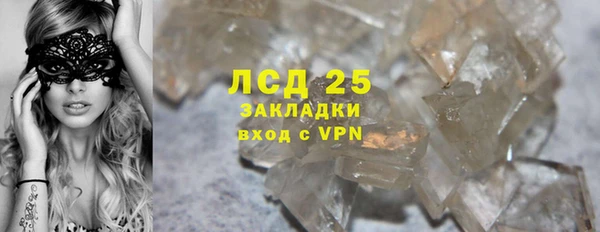 прущие грибы Пестово
