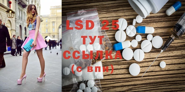 стаф Пересвет