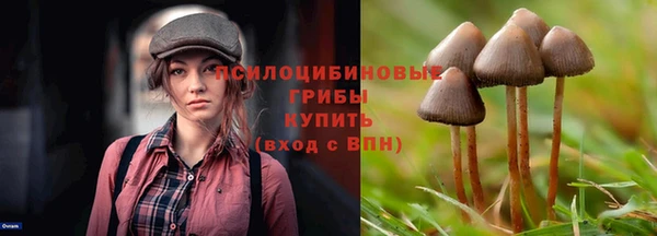 стаф Пересвет