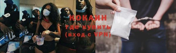 прущие грибы Пестово