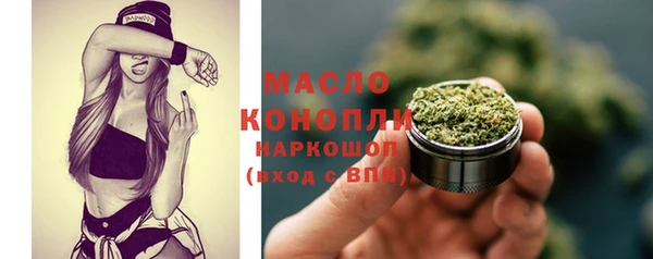 стаф Пересвет