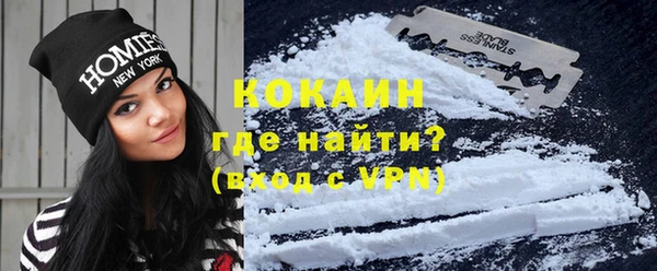 стаф Пересвет