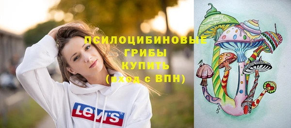 стаф Пересвет